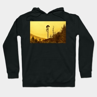 Tall Pine Silhouette Hoodie